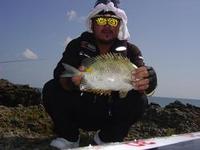 釣らしていただきます！