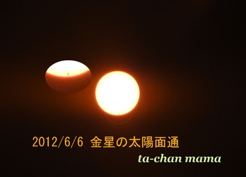 金星の太陽面通過 ｉｎ 沖縄