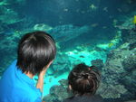 美ら海水族館へ・・・