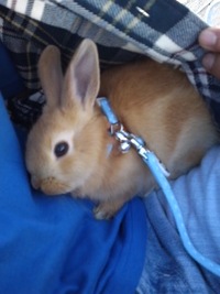 ビビってますよ(≧∇≦) 2012/04/11 13:46:59