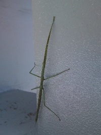 久しぶりだょ(≧∇≦) 2012/04/20 12:22:52