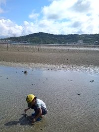 東と西とJIS+7B61の海に遊びに行きました。 2012/07/25 13:37:39