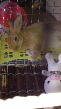 昨日はシュンとしたJIS+7632 2012/08/02 12:26:07