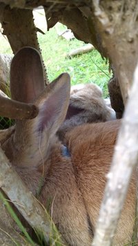 仲良しに成った？(⌒〜⌒) 2012/09/10 12:47:56
