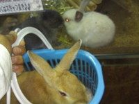 え〜(＞Σ＜) 2012/05/27 19:22:09