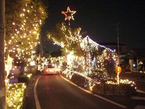 来多舞：妹子のイルミネーションめぐり