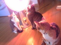 寒いよ～～ 2008/02/12 20:17:18