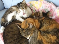 ２００８(^^) 2008/01/02 13:18:58