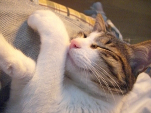 寒いよ～～