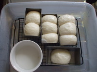 パンを焼いてみる２ 2009/07/07 17:08:25