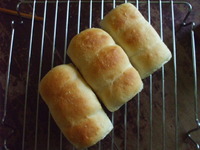 パンを焼いてみる５ 2009/07/17 13:01:00