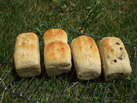 パンを焼いてみる9 2009/08/16 15:33:01
