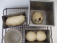 過発酵気味だな、、、、 2009/08/23 20:36:01