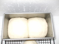 パンを焼いてみる 2009/11/11 19:19:00