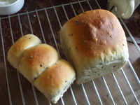 ごまパン 2010/03/03 19:44:39