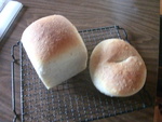 焼き続けています。苺酵母