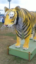 阪神タイガース 2010/02/11 19:07:36