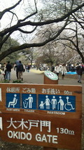 東京お花見 2010/04/07 09:53:48