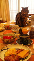 しましゃん 2010/04/07 10:13:56