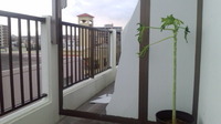 台風１７号 2012/09/30 07:53:43