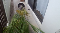 台風１７号 2012/09/30 07:32:16