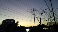 健康生活 2012/10/04 10:21:23