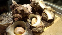 築地市場 2012/11/11 11:34:05