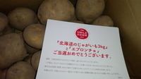 エプロンチョ当たり！ 2013/01/21 14:16:43