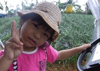 パイナップルパーク 2010/09/13 16:21:00
