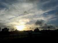 天気がいいのでo(^-^)o 2009/11/08 17:16:08