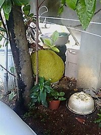 まさに衝撃的出会い 2006/08/23 09:10:00