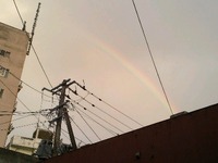 ヤギぐるみ。 2012/06/19 15:04:26
