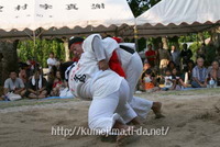稲穂祭・真謝角力大会 2009/06/09 14:09:47