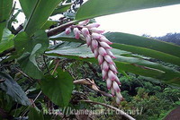 梅雨入り 2011/04/30 13:02:00