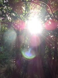 チャクラ 2012/10/01 14:52:47