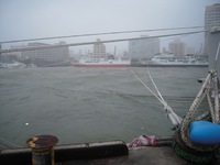 泊港の台風対策 2012/10/11 14:37:49