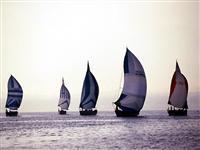 いよいよ夏・久米島レースとサバニ帆漕レース 2011/05/19 17:09:48