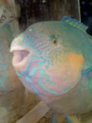 私ってかわいい～ 2008/07/09 20:28:33