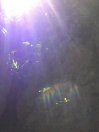 光の写真No2 2008/03/21 19:15:28