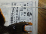 また、愛しのタマンではありません