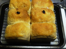ぶどうパンとチョコパン
