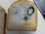 また食パン