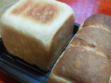 食パンです