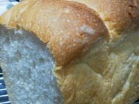 食パン 2011/11/11 11:55:00