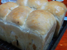 食パン