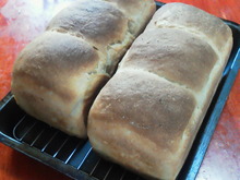 食パン