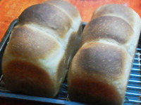 寒い日に焼く食パン 2012/01/12 00:13:47