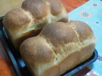 食パン復活です。 2012/04/06 21:44:59