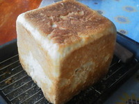 スクエア食パンです。 2012/04/30 11:21:31
