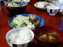 春休み初